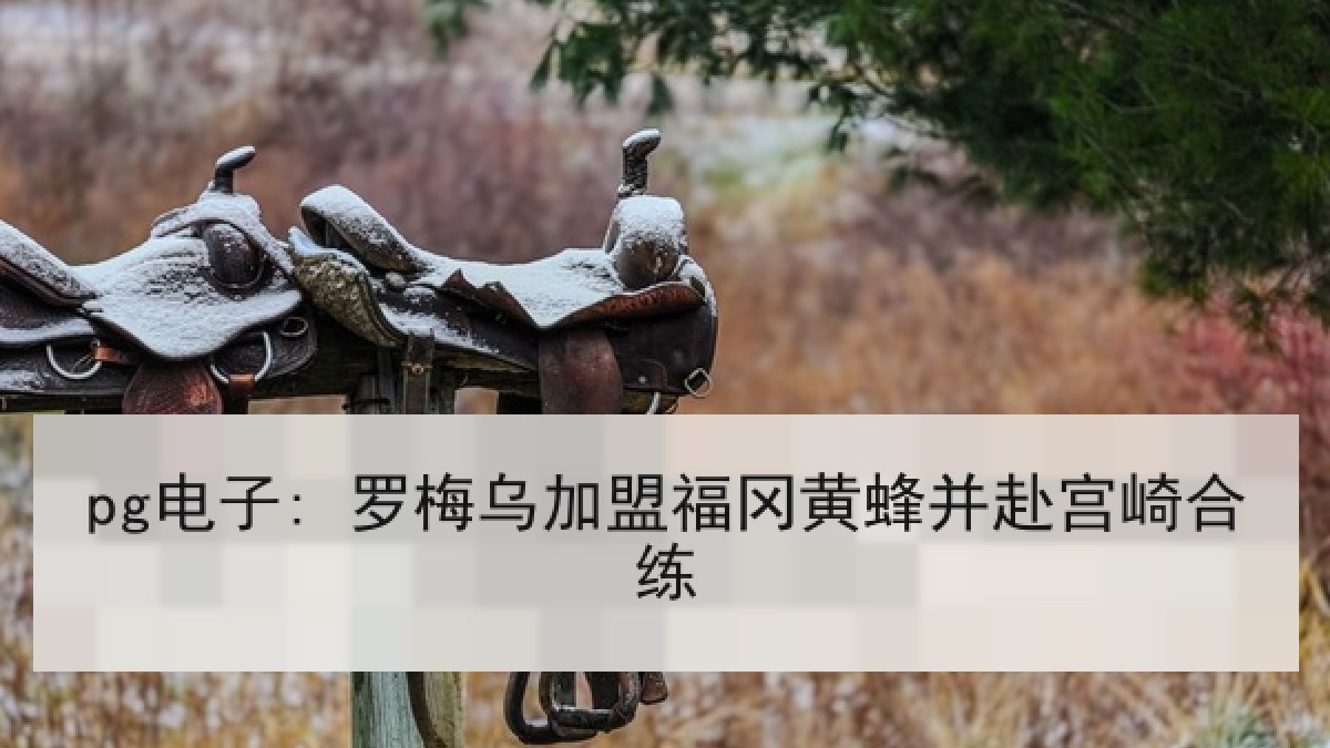 pg电子: 罗梅乌加盟福冈黄蜂并赴宫崎合练
