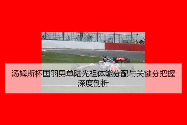 汤姆斯杯国羽男单陆光祖体能分配与关键分把握深度剖析
