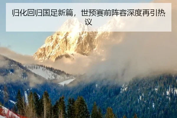 归化回归国足新篇，世预赛前阵容深度再引热议