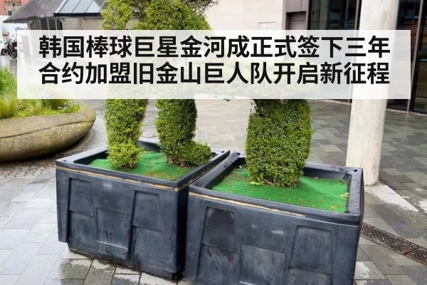 韩国棒球巨星金河成正式签下三年合约加盟旧金山巨人队开启新征程