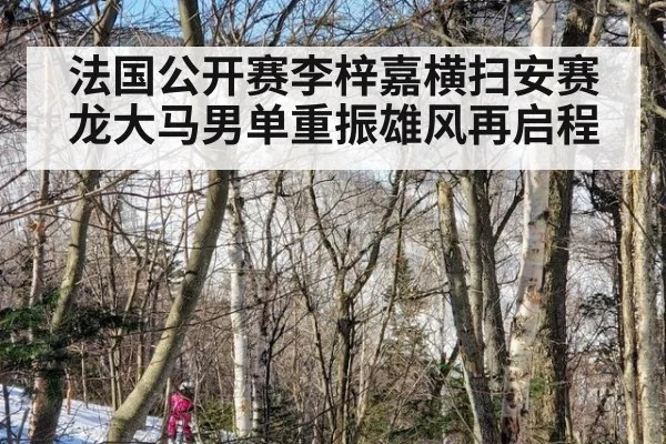 法国公开赛李梓嘉横扫安赛龙大马男单重振雄风再启程