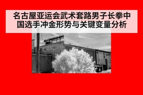 名古屋亚运会武术套路男子长拳中国选手冲金形势与关键变量分析