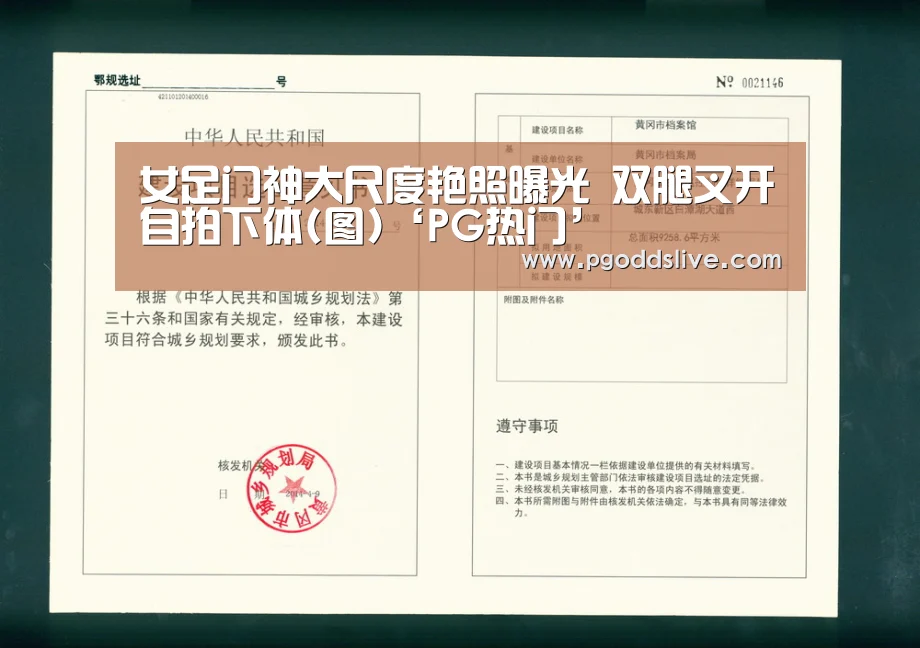 PG推荐