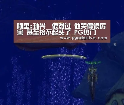 PG官方